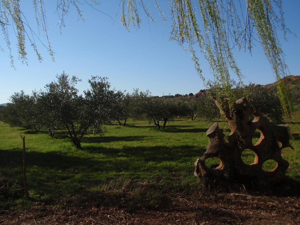 Maison d'hôtes El Molino De Iramala à Reolid Extérieur photo